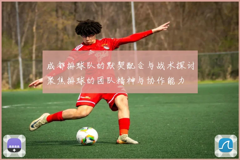 成都排球队的默契配合与战术探讨聚焦排球的团队精神与协作能力