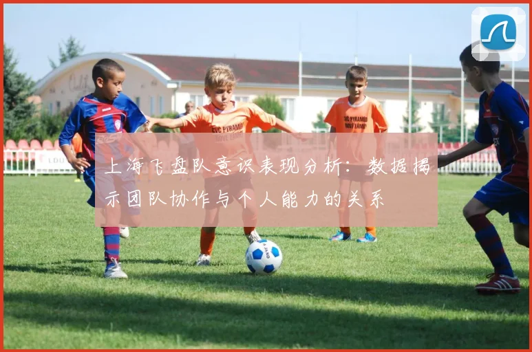 上海飞盘队意识表现分析：数据揭示团队协作与个人能力的关系