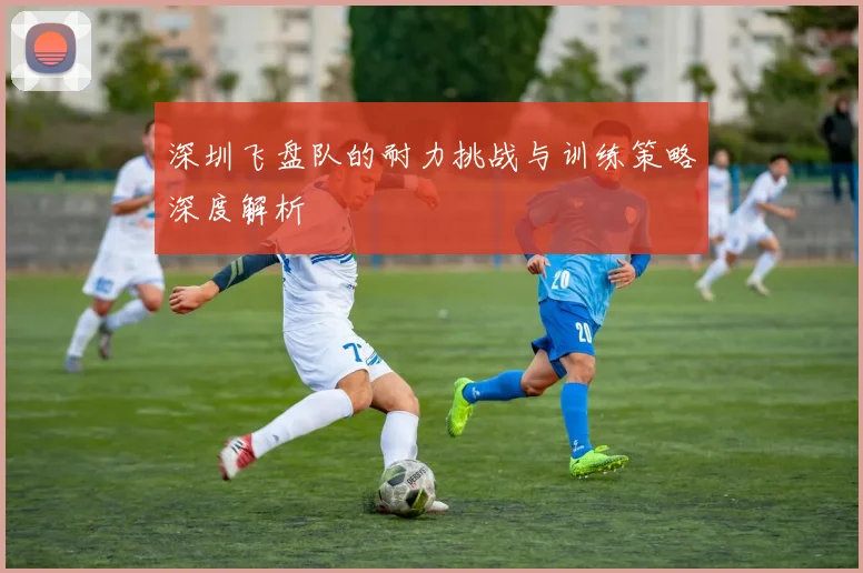 深圳飞盘队的耐力挑战与训练策略深度解析