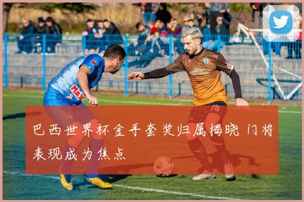 巴西世界杯金手套奖归属揭晓 门将表现成为焦点